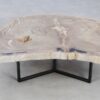 Coffee table petrified wood 49298