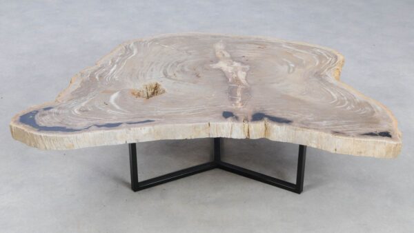 Coffee table petrified wood 49298
