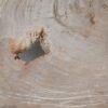 Coffee table petrified wood 49298