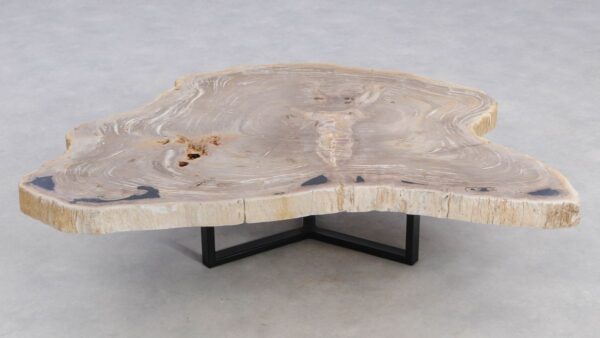 Coffee table petrified wood 49301