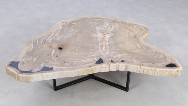 Coffee table petrified wood 49302