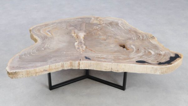Coffee table petrified wood 49303