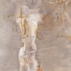 Coffee table petrified wood 49303