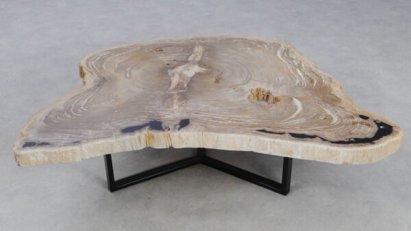 Coffee table petrified wood 49306