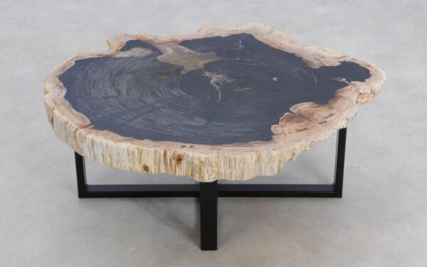 Coffee table petrified wood 49309