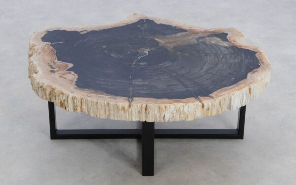 Coffee table petrified wood 49310