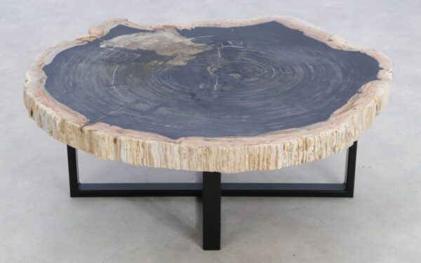 Coffee table petrified wood 49311