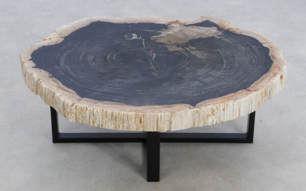 Coffee table petrified wood 49312