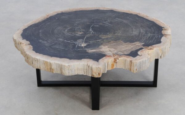 Coffee table petrified wood 49313