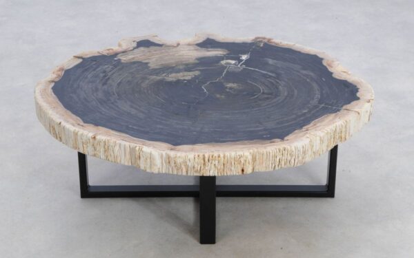 Coffee table petrified wood 49314