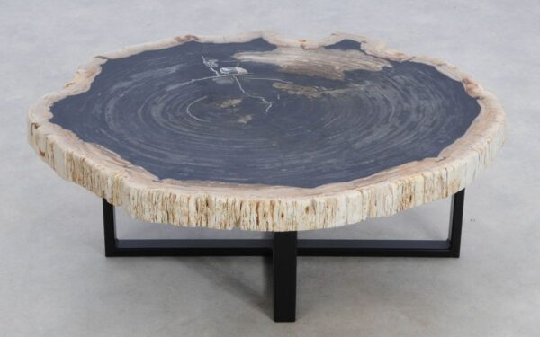 Coffee table petrified wood 49315