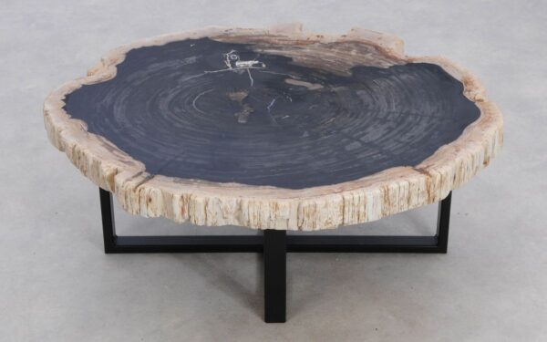 Coffee table petrified wood 49316