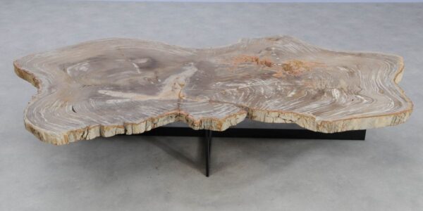 Coffee table petrified wood 49317