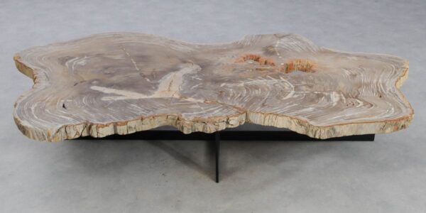 Coffee table petrified wood 49318
