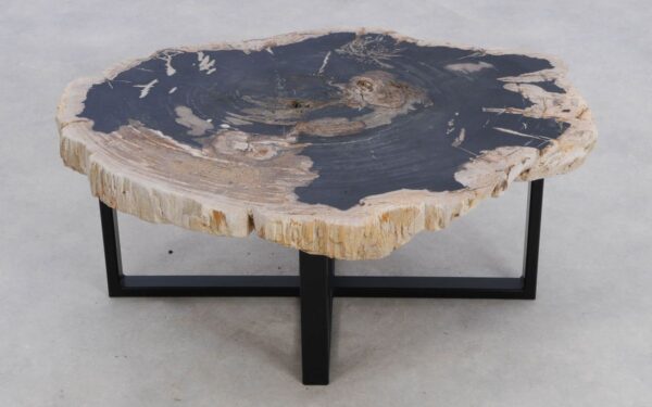 Coffee table petrified wood 49380