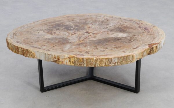Coffee table petrified wood 49381