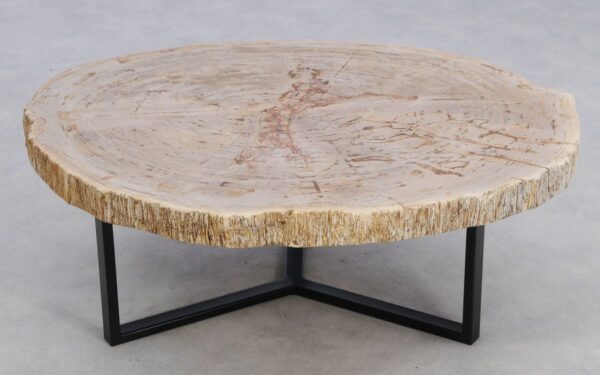 Coffee table petrified wood 49382