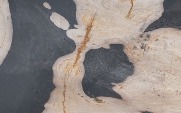 Coffee table petrified wood 49383