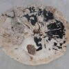 Coffee table petrified wood 49384