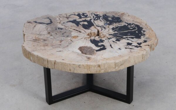 Coffee table petrified wood 49384