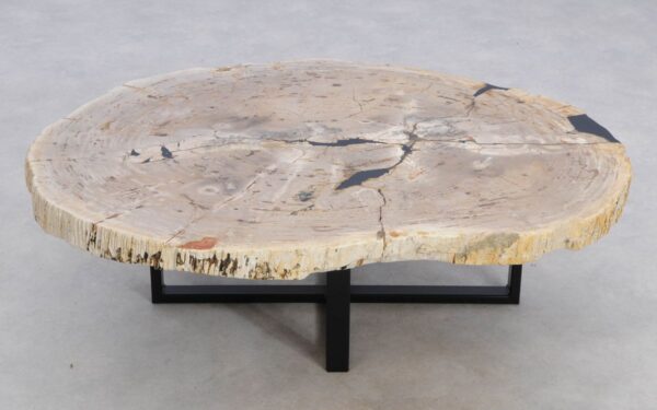 Coffee table petrified wood 49386