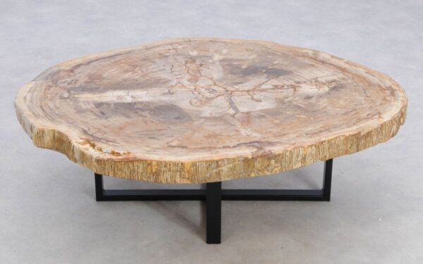 Coffee table petrified wood 49387