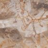 Coffee table petrified wood 49387