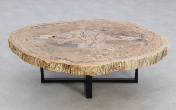 Coffee table petrified wood 49389
