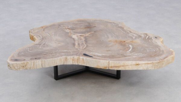 Coffee table petrified wood 49390