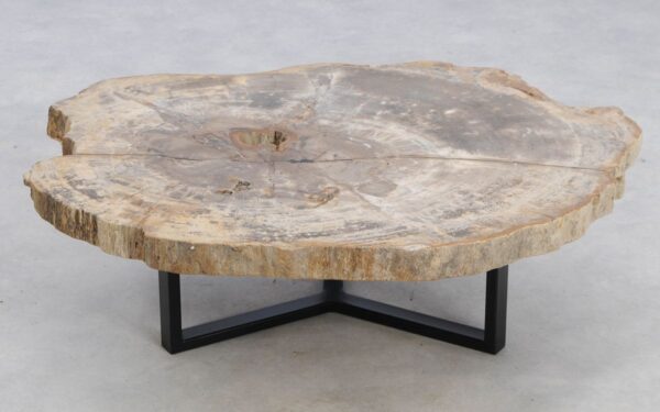 Coffee table petrified wood 49391