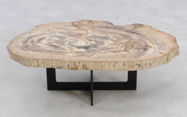 Coffee table petrified wood 49392