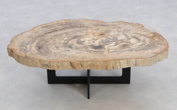 Coffee table petrified wood 49393