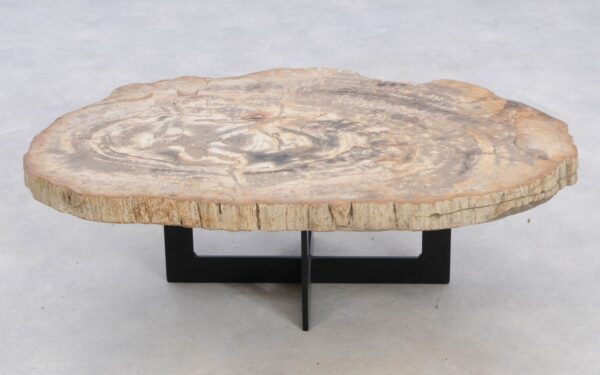 Coffee table petrified wood 49394