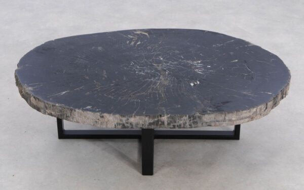 Coffee table petrified wood 49395