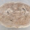 Couchtisch versteinertes Holz 48145