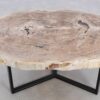 Couchtisch versteinertes Holz 48145