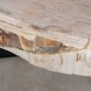 Couchtisch versteinertes Holz 48145