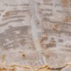 Couchtisch versteinertes Holz 48153