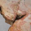 Couchtisch versteinertes Holz 48153