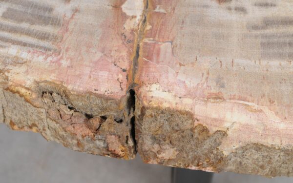 Couchtisch versteinertes Holz 48153