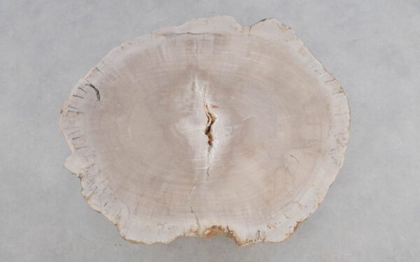 Couchtisch versteinertes Holz 49158