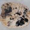 Couchtisch versteinertes Holz 49163