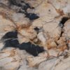 Couchtisch versteinertes Holz 49163