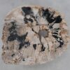 Couchtisch versteinertes Holz 49164