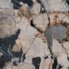 Couchtisch versteinertes Holz 49164