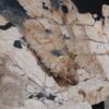 Couchtisch versteinertes Holz 49165