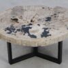 Couchtisch versteinertes Holz 49167
