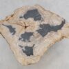 Couchtisch versteinertes Holz 49183