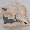 Couchtisch versteinertes Holz 49184