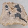 Couchtisch versteinertes Holz 49185